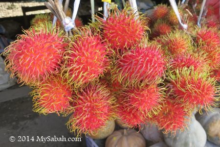 rambutan