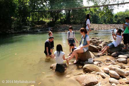 fish massage at Moyog River