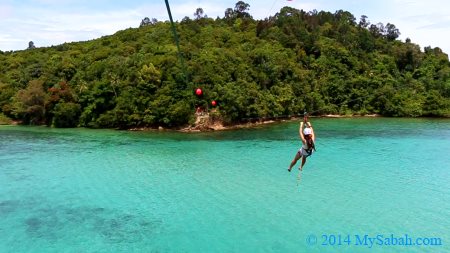 flying fox