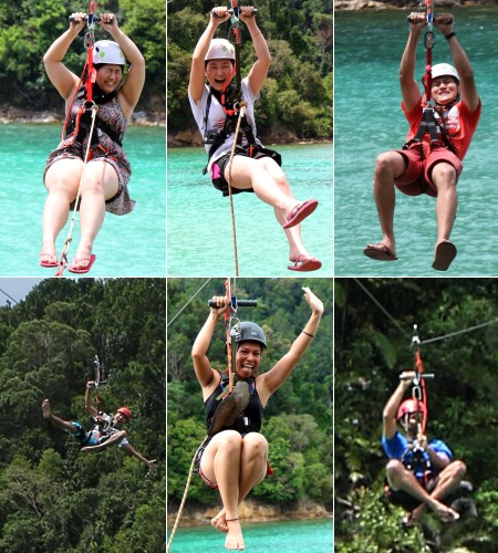 expressions on flying fox