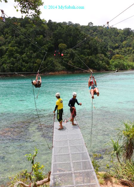 flying fox in Sapi and Gaya Island