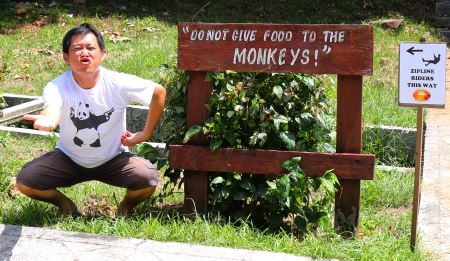 Sign that reads: Do not feed the monkey