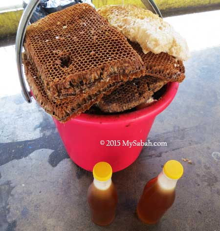 bee nest and bottles of honey