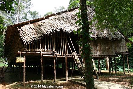 longhouse of Rungus