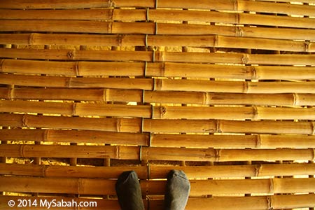 floor of longhouse