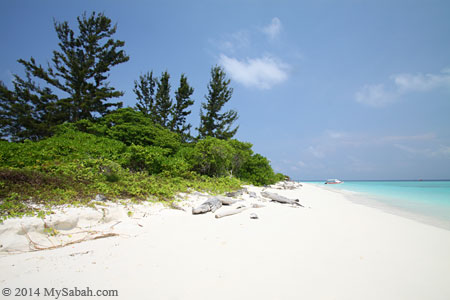 forest and beach of Mengalum Island