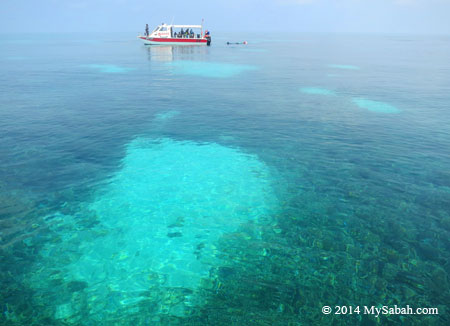 crystal clear sea water of Mengalum