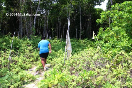 exploring the forst of Mengalum