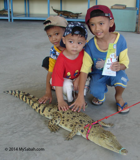 children playing with small crocodile
