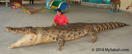 man eater crocodile