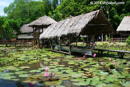 heritage village of Sabah Museum