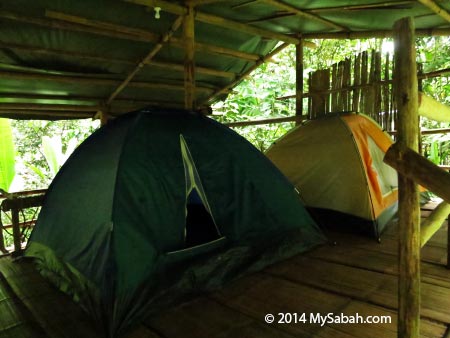 camping tent in Lupa Masa Jungle Camp