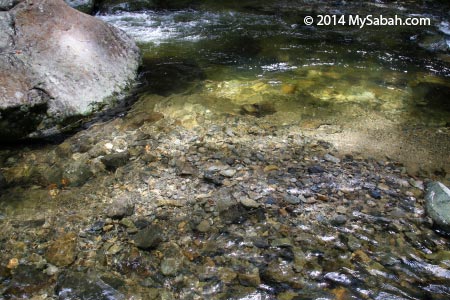 clean river from Kinabalu Park