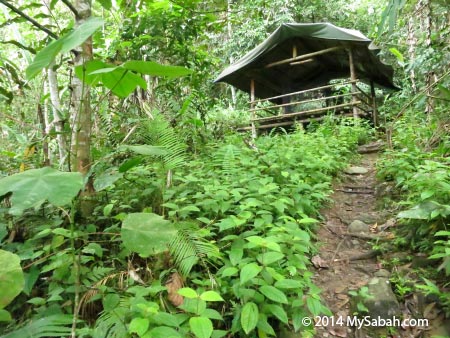 camp of Lupa Masa