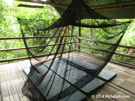 camper bed of Lupa Masa Jungle Camp