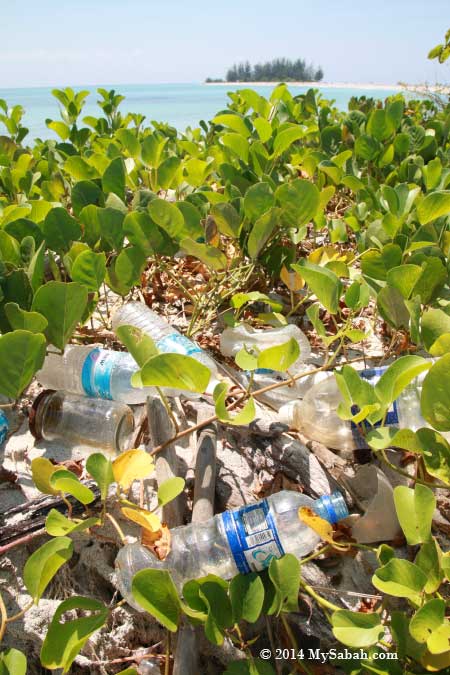 rubbish on the beach