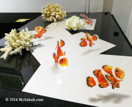 3D Nemo fishes