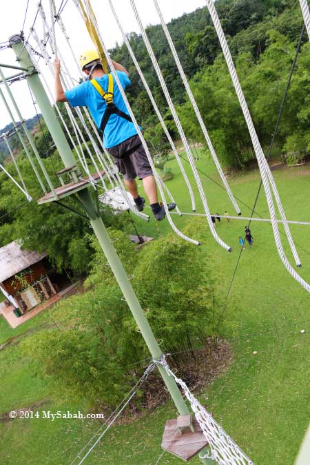 high ropes challenge: Spaghetti Walk