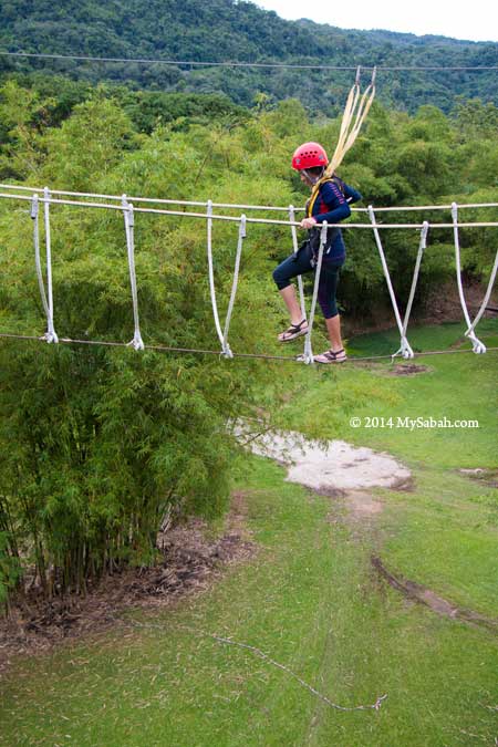 high ropes challenge: Burma Bridge