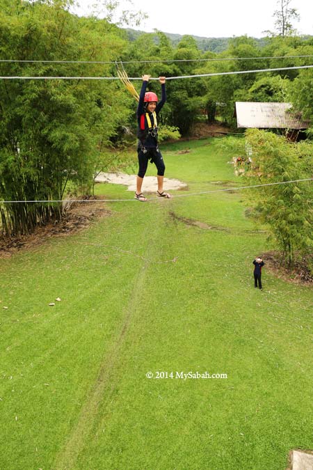 high ropes challenge: Postman's Walk