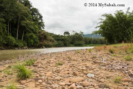 zipline over Kiulu River