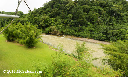 view from top of zipline tower