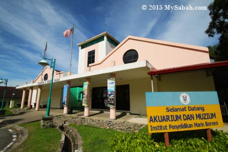 Aquarium & Marine Museum of University Malaysia Sabah (UMS)