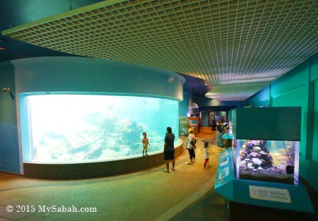 aquarium of UMS