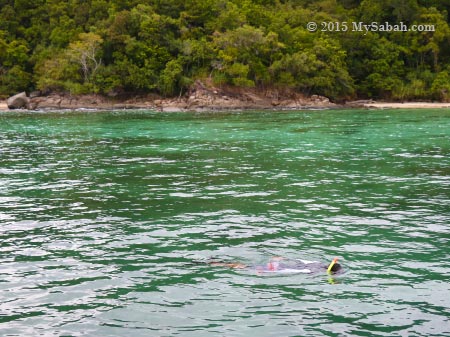 snorkelling at Sapi Island