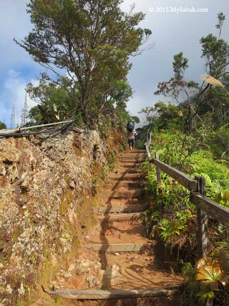 nature trail of Kinabalu Park