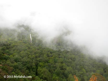 mountain in fog