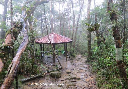 Tikalod Shelter