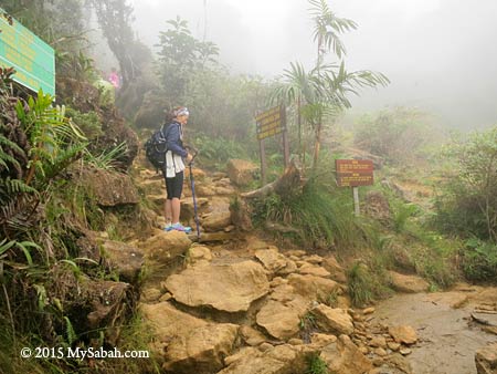 meeting point of Timpohon and Mesilau Trail