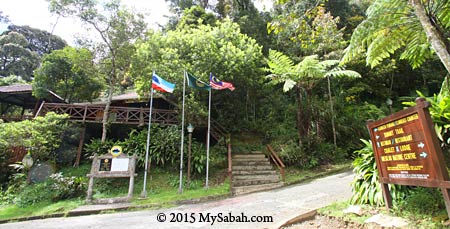 Mesilau - Kinabalu Park