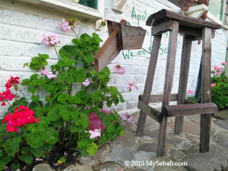 flowers and 4-leg chair