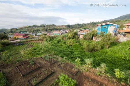 farm and village view