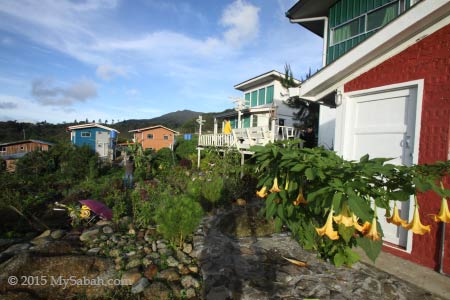 flowers near the hut