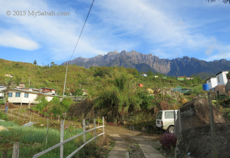 Mt. Kinabalu and Kg Mesilau village