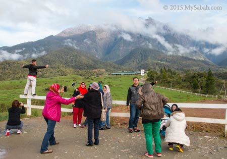 tourists taking photos at Desa Dairy Farm