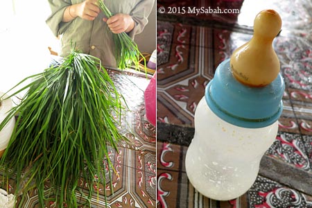 grass and milk bottle for calf