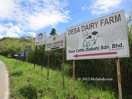 signage to Desa Dairy Farm