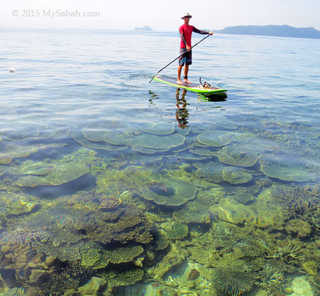 Stand Up Paddleboarding