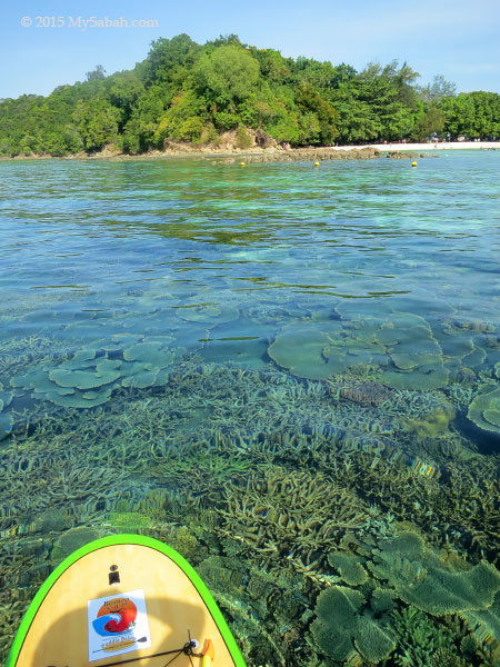 corals and Sapi Island