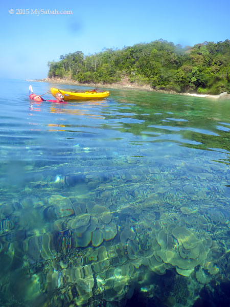 go down for snorkelling