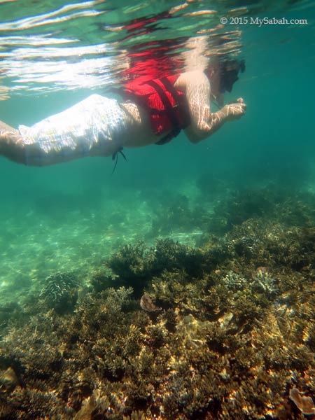 snorkelling and photo taking
