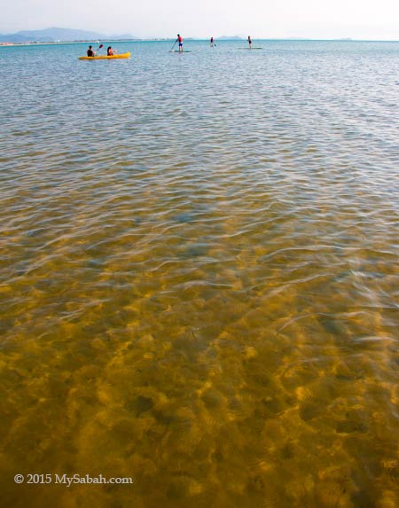 Standup paddleboarding Tanjung Aru Beach