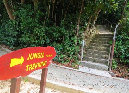 jungle trail and jogging track