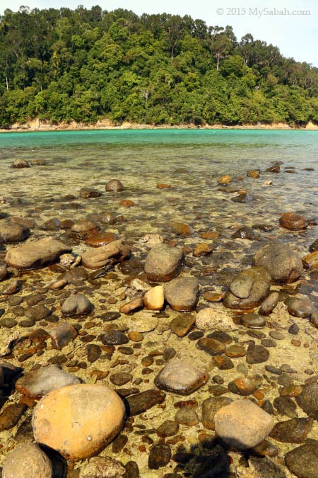rocky beach of Pulau Sapi