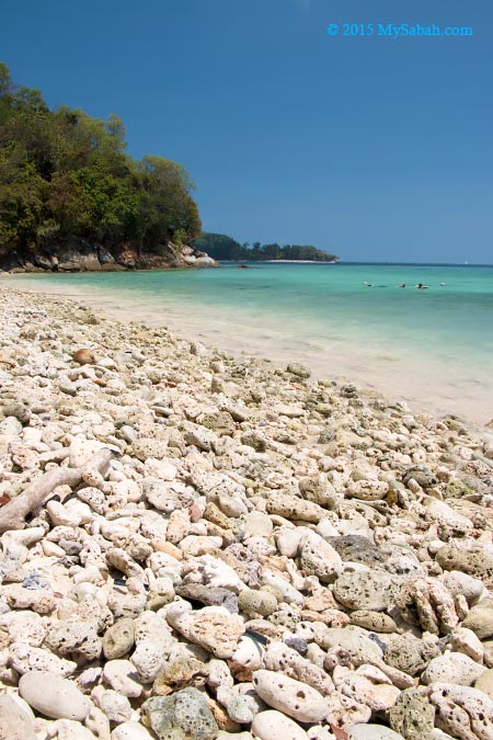beach covered with coral fragments