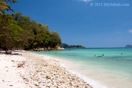 coral beach